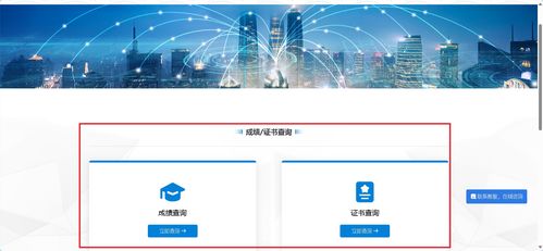 信息技術(shù)咨詢 1+x成績查詢及職業(yè)技能等級證書下載超詳細(xì)指南